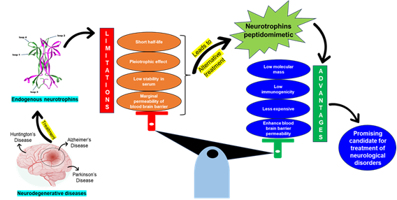 neurotrophin peptidomimetics